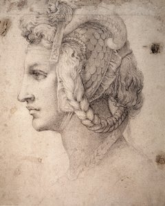 头脑研究 作者 米开朗基罗（Michelangelo Buonarroti）