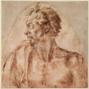 头肩研究（纸上墨水） 作者 米开朗基罗（Michelangelo Buonarroti）