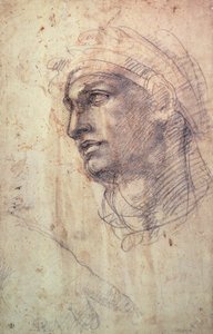 研究头（木炭在纸上） 作者 米开朗基罗（Michelangelo Buonarroti）