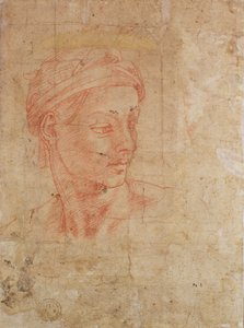 研究一个头（纸上的红色粉笔） 作者 米开朗基罗（Michelangelo Buonarroti）