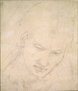 头部研究，约1490-1560年 作者 米开朗基罗（Michelangelo Buonarroti）