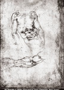 研究男性躯干和手臂 作者 米开朗基罗（Michelangelo Buonarroti）