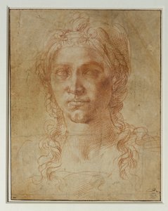 女性的理想之靴... 作者 米开朗基罗（Michelangelo Buonarroti）