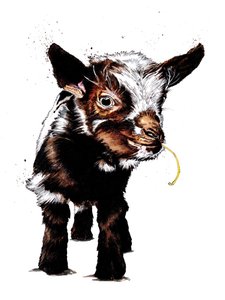白色小山羊，2020
