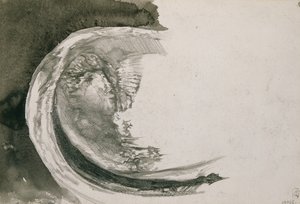 珍珠贻贝，1904年 作者 米哈伊尔·亚历山德罗维奇·弗鲁贝尔