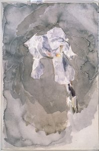 白色虹膜 作者 米哈伊尔·亚历山德罗维奇·弗鲁贝尔