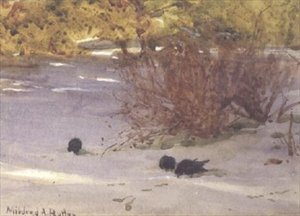 雪地上的影子（纸上水彩画）