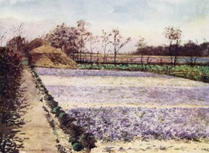 番红花场（彩色石版画）