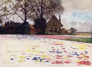Hyacinths scattered on the Sand (colour litho) 作者 咪玛·尼克松（Mima Nixon）