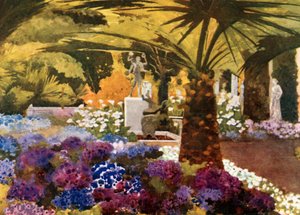 Cinerarias，Achilleion，Corfu