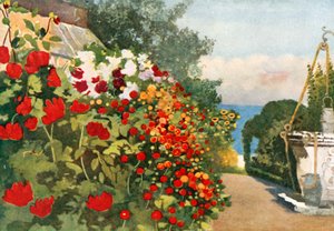 大丽花边境，Villa Hvidore 作者 咪玛·尼克松（Mima Nixon）