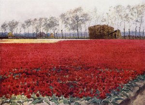 "Whose leaves with their crimson glow Hide the heart that lies burning and black below" (colour litho)