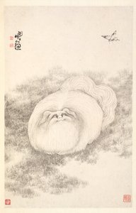 猫和蝴蝶，1788年。