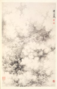 云中龙