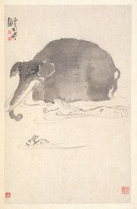 大象、马和兔子