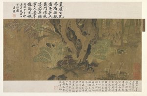 竹子，青蛙和昆虫