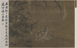 鹌鹑和小米