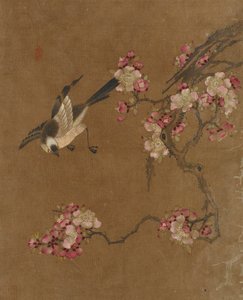 鸟和花的十张照片（丝绸上的颜色）