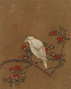 鸟和花的十张照片（丝绸上的颜色）
