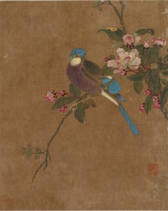 鸟和花的十张照片（丝绸上的颜色）