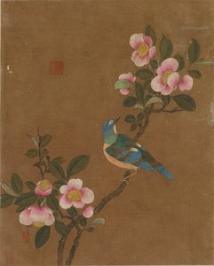 鸟和花的十张照片（丝绸上的颜色）