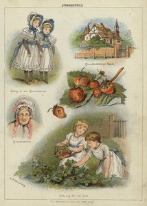 草莓 (chromolitho) 作者 伊丽莎·曼宁小姐