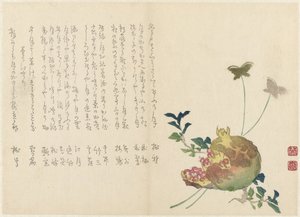 石榴 作者 三宅荣卫