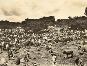 在法西斯时代建立一个帝国。阿比西尼亚市场，1936年5月9日（黑白照片）。 作者 莫迪斯蒂诺·巴尔迪内蒂