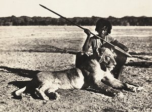 在法西斯时代建立一个帝国：狮子的例子，1936年5月9日（黑白照片）。 作者 莫迪斯蒂诺·巴尔迪内蒂