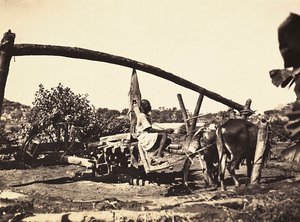 在法西斯时代建立一个帝国：诺利亚土著，1936年5月9日（黑白照片）。 作者 莫迪斯蒂诺·巴尔迪内蒂