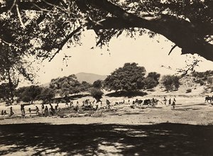 在法西斯时代建立一个帝国：下层平原的水井，1936年5月9日（黑白照片）。 作者 莫迪斯蒂诺·巴尔迪内蒂