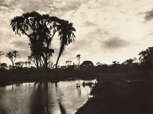Building an Empire in the Fascist age: western lower plain, 09/05/1936 (b/w photo) 作者 莫迪斯蒂诺·巴尔迪内蒂