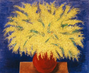 含羞草花瓶 作者 莫伊斯·基斯林