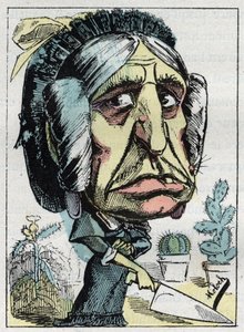 Touchatout的 "Le Trombinoscope "中 "继母"（Belle mere）的寓意，B. Moloch于1882年创作的漫画（1849-1909）。私人收藏。 作者 主宰