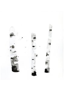 幽灵桦树》，2022 年（水彩画，印在兰顿 300 克冷压纸上） 作者 莫妮卡·佩雷斯·维加