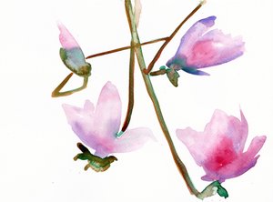 玉兰 1》，2022 年（水彩画，印在兰顿 300 克冷压纸上）