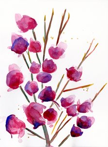 木兰花，2022 年（水彩画，印于兰顿 300 克冷压纸上）