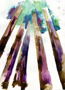 水杉 3》，2021 年（水彩画，印在兰顿 300 克冷压纸上）