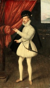 白衣男子的肖像，1574年。 作者 字母组合林