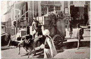 Bullock-Cart，c.1900-20 作者 Moorli Dhur和儿子