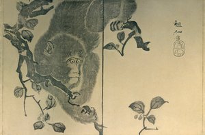 猴子，1815年，1924年。 作者 森创泉