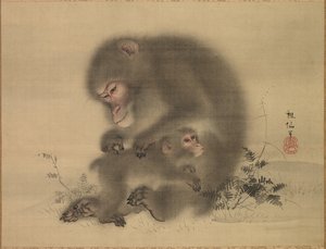 猴子 作者 森创泉