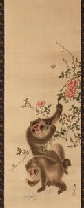 猴子和玫瑰 作者 森创泉