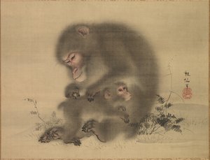 猴子，十八世纪末至十九世纪初。 作者 森创泉