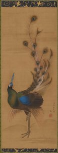 Peacock, 1786. 作者 森创泉