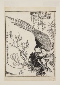 野鸡和木兰（彩色木版画） 作者 莫里库纳莫里库纳