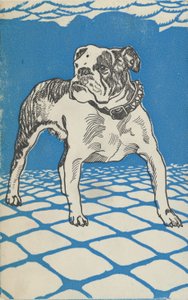 斗牛犬，1912年。 作者 莫里茨荣格