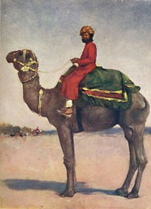 来自科塔的骑骆驼者》，1903年 作者 莫蒂默·卢丁顿·门佩斯