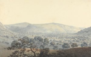 Distant view of Llandrillo   1443420   zh       chinese Successfully Translated  Original: Leucopogon virgatus (Epacridaceae) - Plate 193, Banks Florilegium, c.1771-84 (copperplate engraving on paper) Translat: Leucopogon virgatus (Epacridaceae) - Plate 19 作者 摩西·格里菲斯（Moses Griffith）