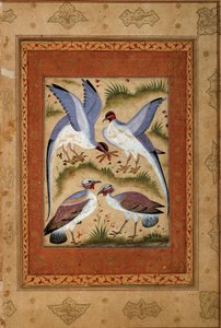 Birds. Miniature gouache from the moghole school. 1590-1600. Paris, Guimet Museum, National Museum of Asian Arts